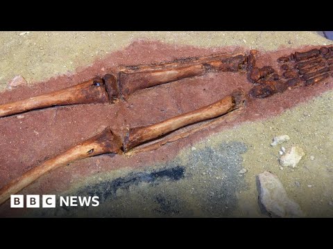 Skeleton reveals early humans had sex with Neanderthals - BBC News