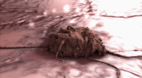 Una molecola consente alle cellule tumorali di sopravvivere