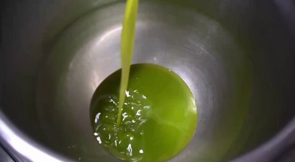 Agroalimentare, cresce il Pil nel quarto trimestre 2022