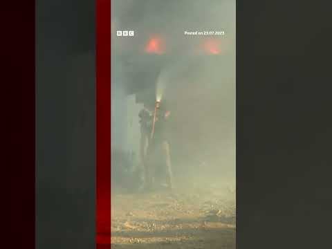 People flee homes in Rhodes as wildfires spread #Shorts #Rhodes #BBCNews