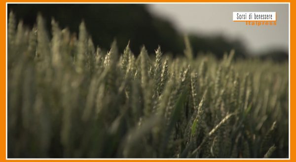 Sorsi di benessere – Un infuso detox e drenante, anche per celiaci