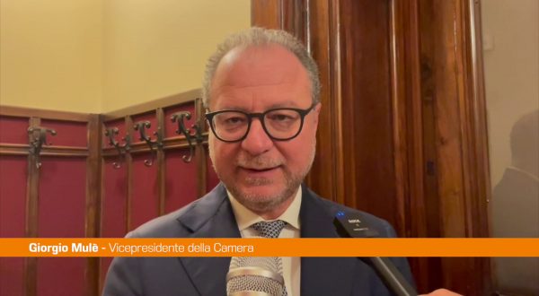 Diabete, Mulè “Con la legge 130 approccio nuovo alla malattia”