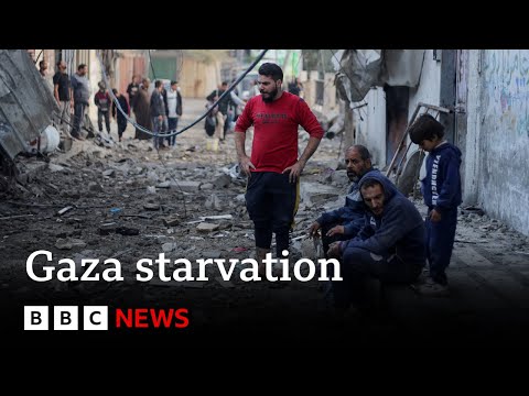 UN warns half of Gaza’s population is starving – BBC News
