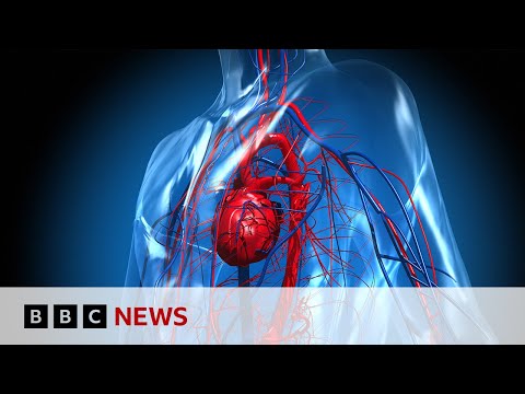 Could there soon be digital copies of your heart? | BBC News