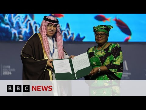 Pressures on global trade to be core topic of World Trade Organization meeting | BBC News