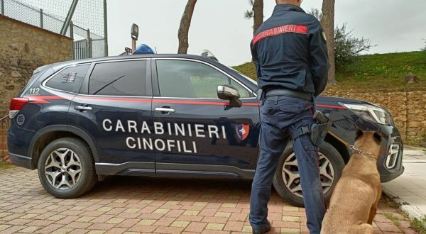 Stampava soldi e documenti falsi e in casa aveva armi, un arresto a Palermo