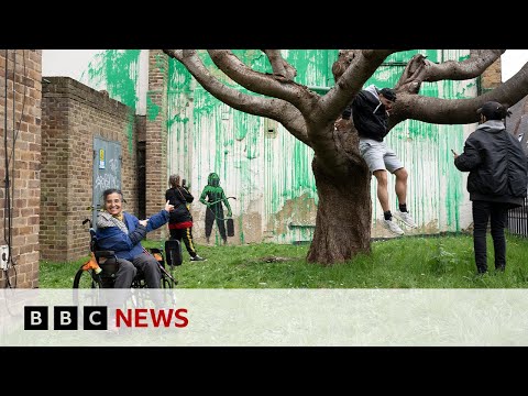 Banksy: Artist confirms new London tree mural is his own work | BBC News