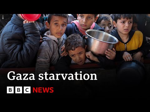 Evidence that Israel is using starvation as weapon of war in Gaza says UN  | BBC News