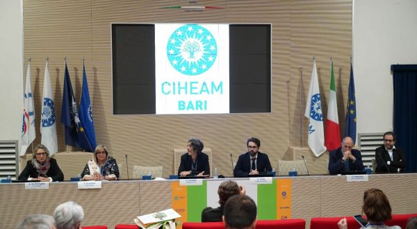 Agreed, sistema di droni e satelliti previene malattie piante ortofrutta