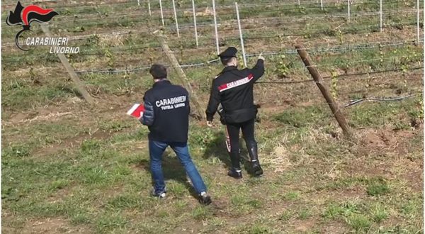 Ospiti Cas sfruttati nei campi, 10 arresti per Caporalato in Toscana