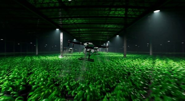 L’intelligenza artificiale si fa strada nell’industria alimentare