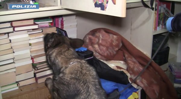 Sgominata piazza di spaccio a Trapani, dieci arrestati