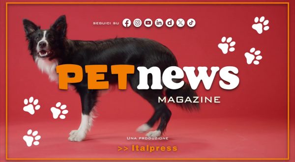 PetNews Magazine – 23/4/2024