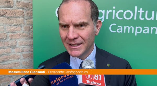 Ue, Giansanti “Con aiuti di Stato il Patto di Stabilità va ripensato”