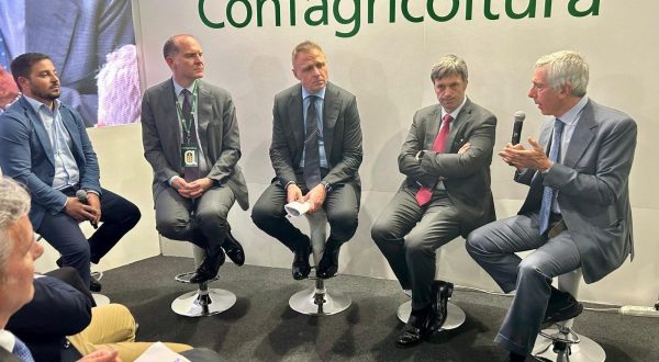 Filiera del pomodoro da industria, il nuovo progetto di Mediterranea