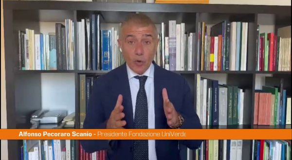 Pecoraro Scanio “Su Ponte Stretto stop da tecnici e anticorruzione”