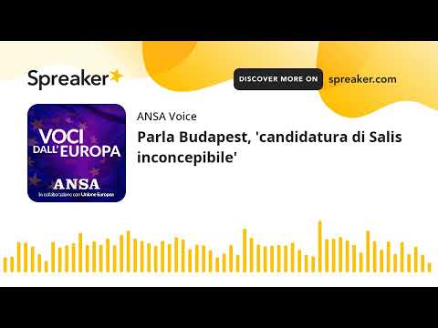 Parla Budapest, ‘candidatura di Salis inconcepibile’