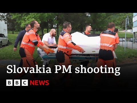 Slovakia PM Robert Fico in stable but serious condition after shooting, doctors say | BBC News