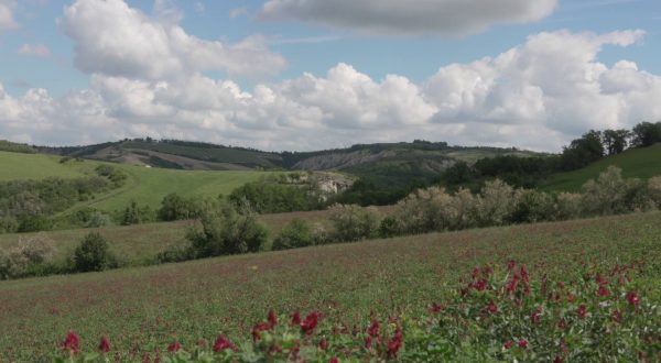 Generali e Gruppo Leone Alato inaugurano l’Oasi Gregorina
