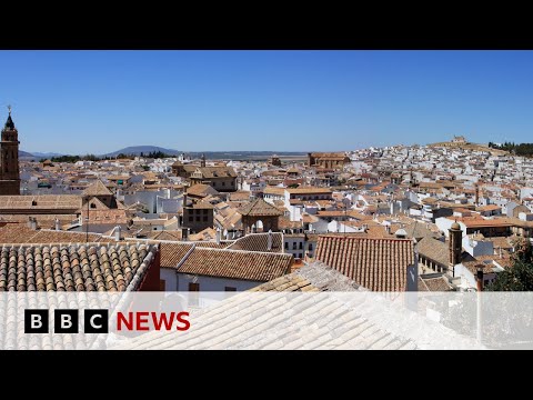 The British expats voting in the UK general election | BBC News