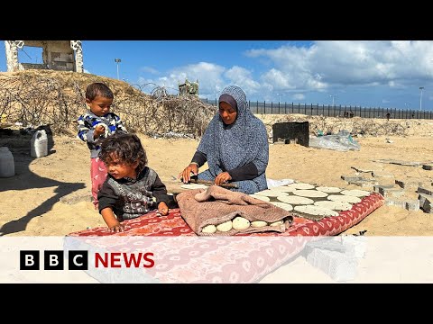 Many in Gaza facing ‘famine-like conditions’, UN’s health agency says  | BBC News