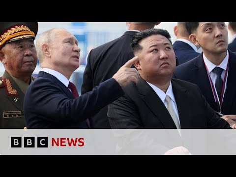 Putin to visit North Korea for first time in 24 years | BBC News