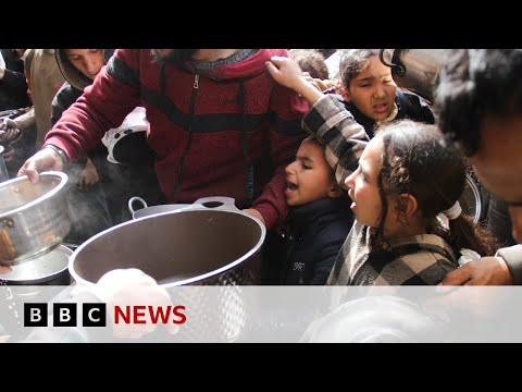 Warnings of famine in northern Gaza | BBC News