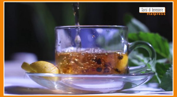 Sorsi di benessere – L’infuso a base di yerba mate