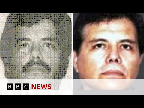 ‘El Mayo’ one of world’s most powerful drug lords arrested in Texas | BBC News