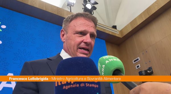 Granchio blu,Lollobrigida “Commissario Caterino servitore dello Stato”