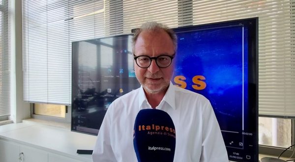 Cittadinanza, Mulè “Il tema sarà affrontato ma non è tra priorità”