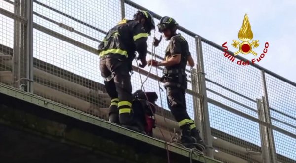 Cane bloccato su un cavalcavia della E45, salvato dai vigili del fuoco