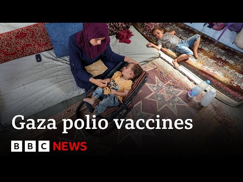 UN to roll out mass polio vaccinations in Gaza | BBC News
