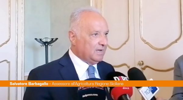 Sicilia,assessore Barbagallo “Contro siccità puntare a infrastrutture”
