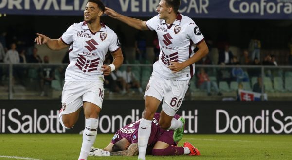 Il Torino batte il Verona e vola in vetta