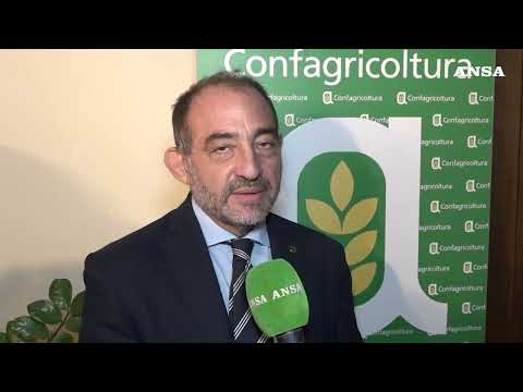 Pac e Food Security, la sfida per il futuro dell’agroalimentare