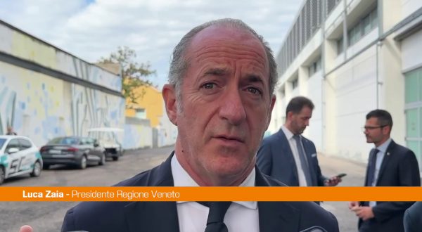 Maltempo, Zaia “Polizza con contributo Stato come in agricoltura”