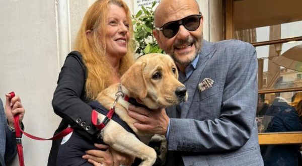 Tutela del cane guida e di assistenza, verso una legge più inclusiva