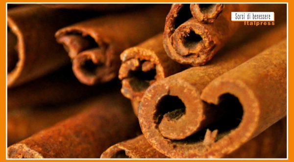 Sorsi di benessere – Zucca da bere? Ecco come prepararla