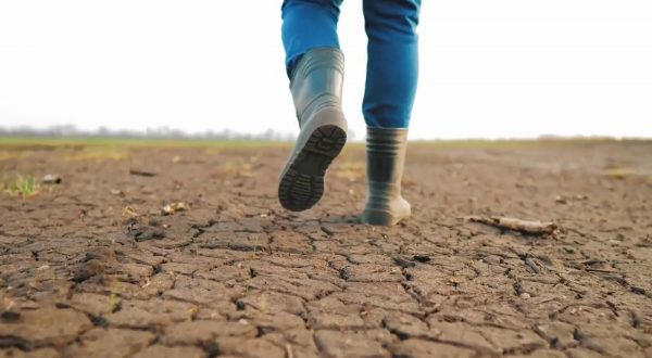 Siccità, 112 milioni per le imprese agricole danneggiate