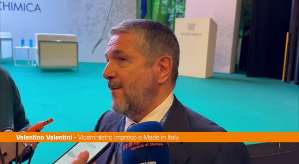 Auto, Valentini “Chiusura fabbriche dimostra difficoltà transizione”