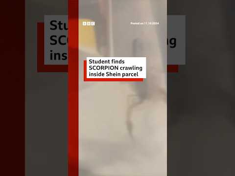 Student finds scorpion crawling inside Shein parcel. #Shein #Scorpion #BBCNews