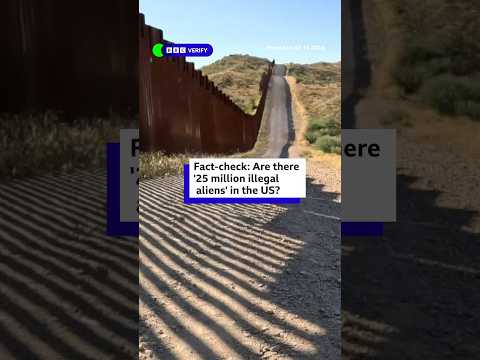 JD Vance’s illegal immigration claims fact-checked. #USElection #BBCNews