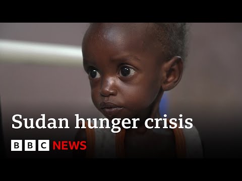 Inside the hospital dealing with Sudan’s famine | BBC News