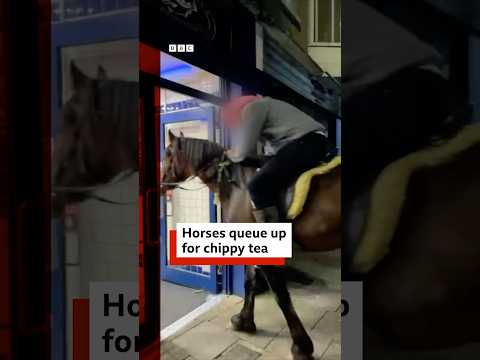 Horses shock customers by queueing up in UK chip shop. #UK #BBCNews