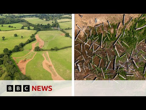 What happens when you set a river free? | BBC News
