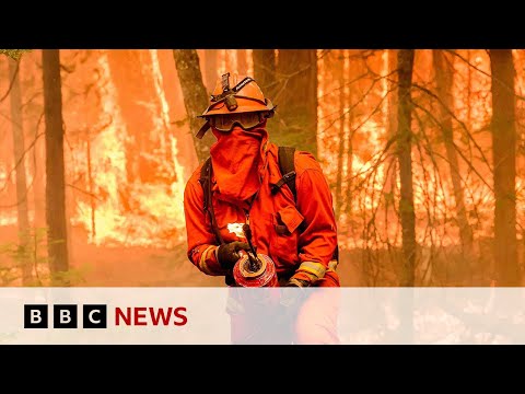 Is the UN warning of 3.1C global warming a surprise? | BBC News