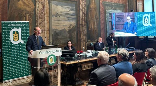 Lavoro, Confagricoltura “Infortuni in calo nel settore agricolo”