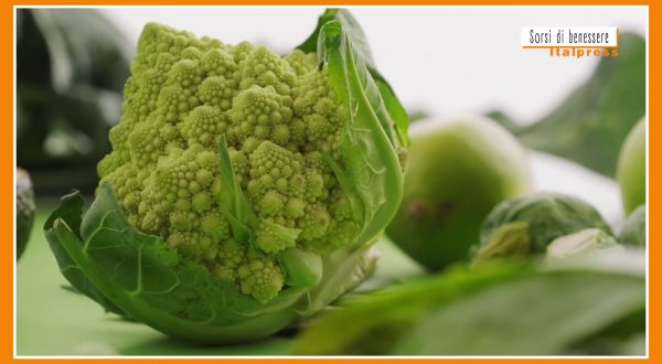 Sorsi di benessere – Crema di broccolo romanesco? Ecco come prepararla