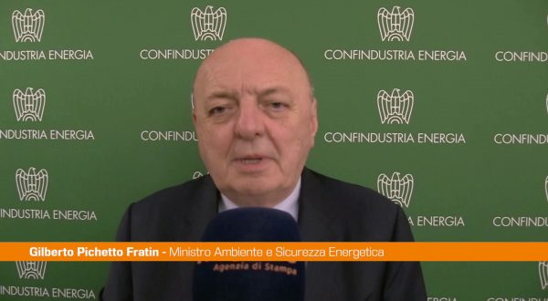 Pichetto Fratin “Con Confindustria rapporto di confronto quotidiano”